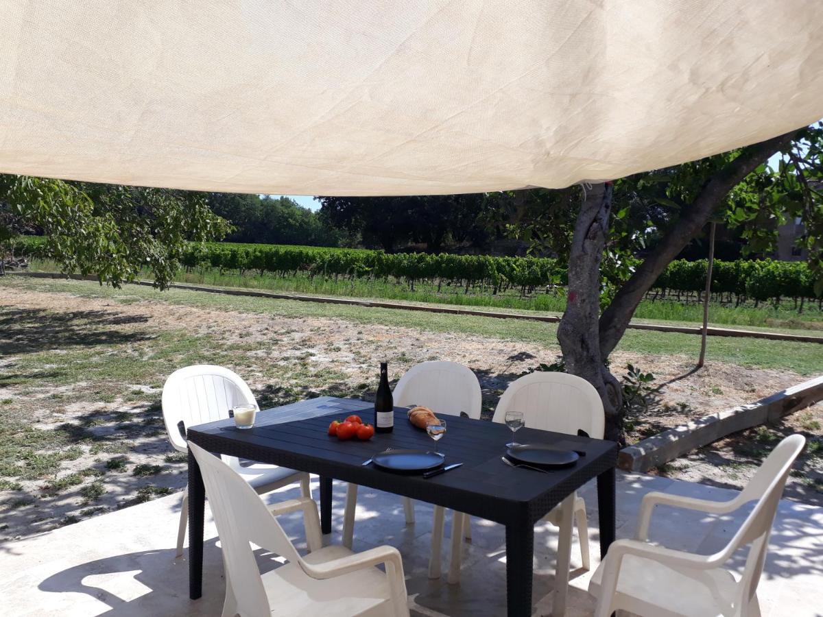 La Petite Maison Dans Les Vignes Chamaret Extérieur photo