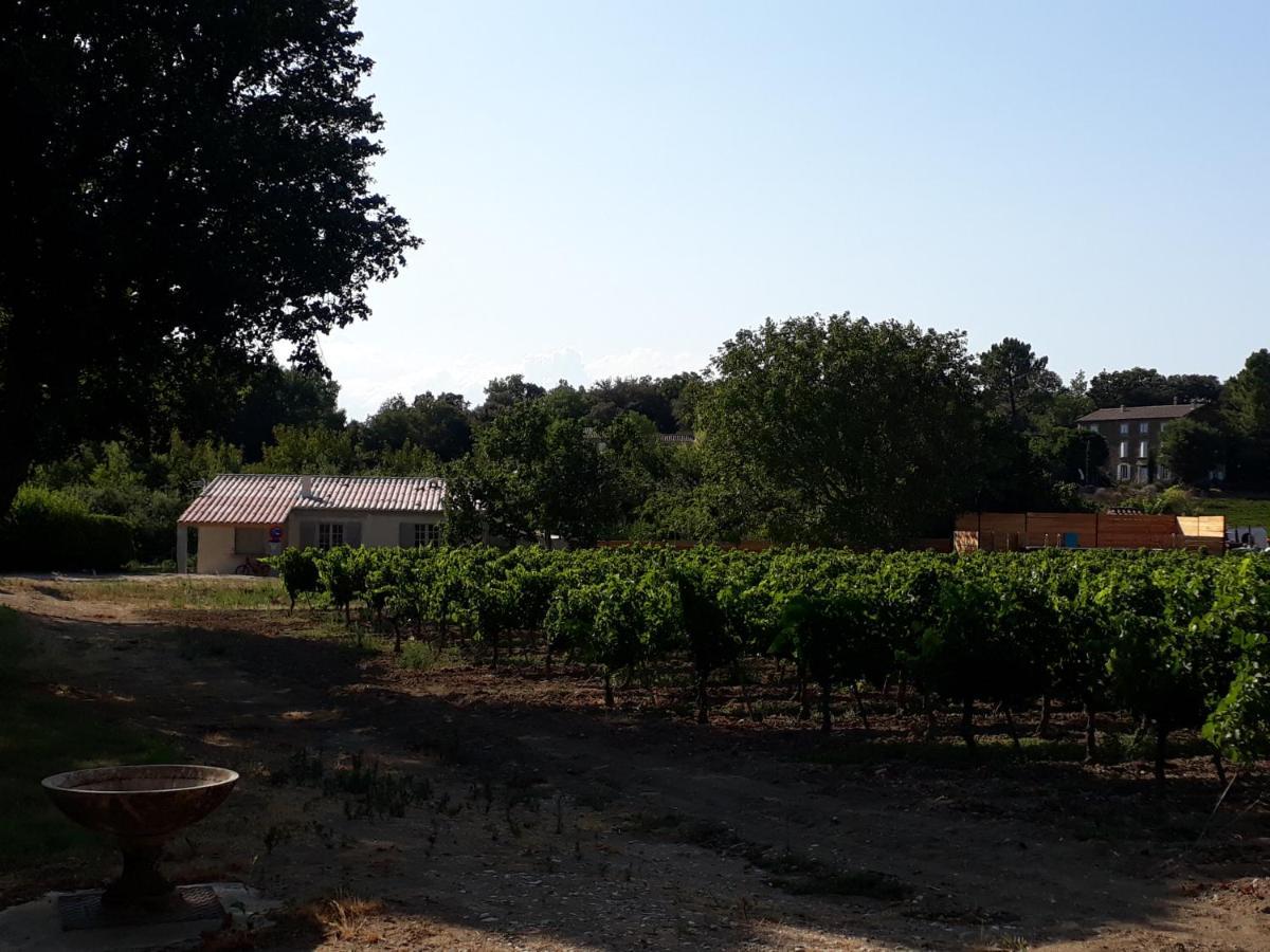 La Petite Maison Dans Les Vignes Chamaret Extérieur photo